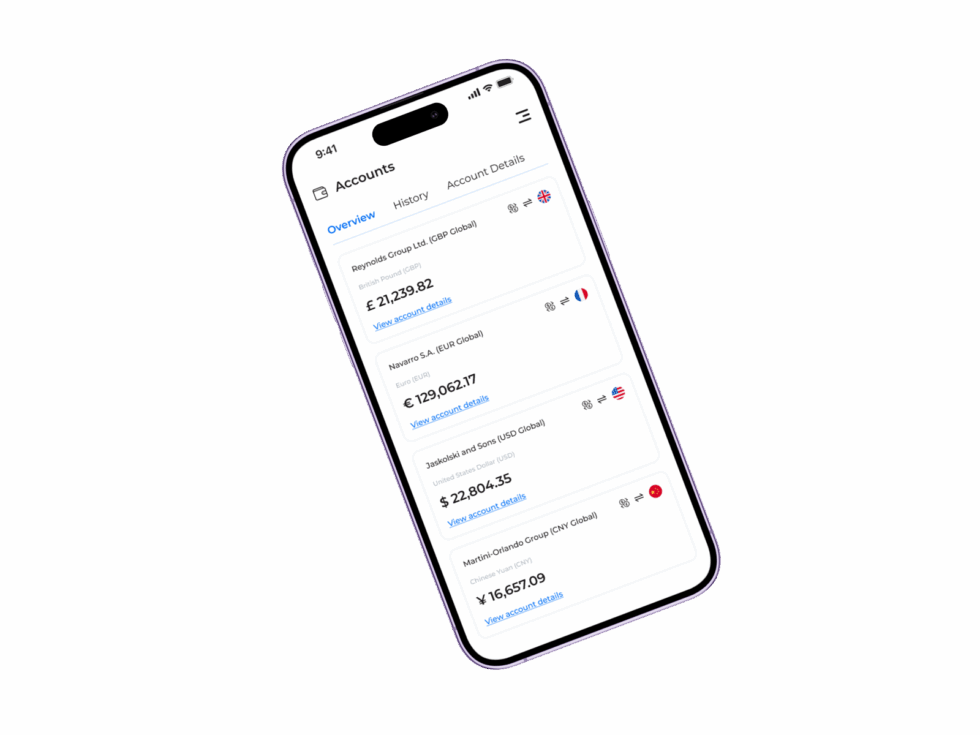 Erhvervskonto For Internationale Betalinger OneMoneyWay
