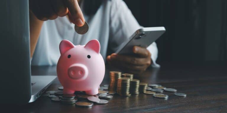 Business investment options