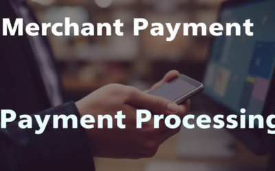 Merchant payment processing