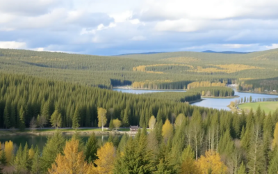 Hur man startar ett företag i Finland